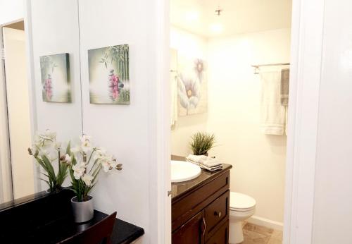Tropical Studios at Marine Surf Waikiki - FREE PARKING - BEST LOCATION - FULL KITCHEN - SWIMMING POOL - main image