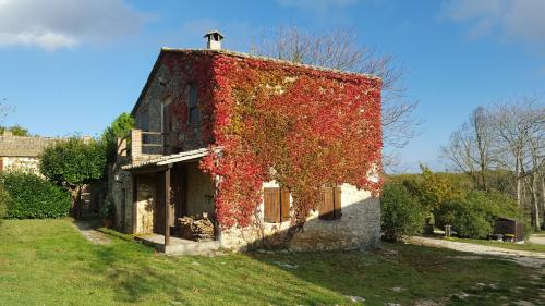 . Silence and relaxation in the woods of Umbria