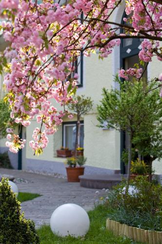 Hotel Rosenvilla - image 9