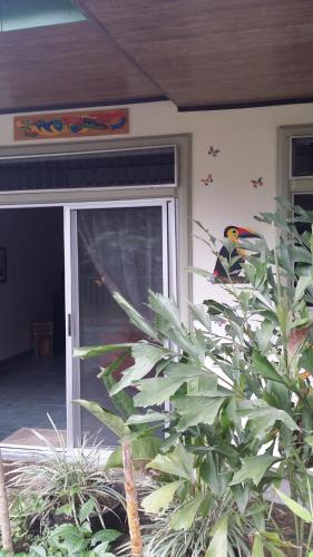 Serene Lodge Retreat in San Isidro de Grecia Costa Rica - image 4