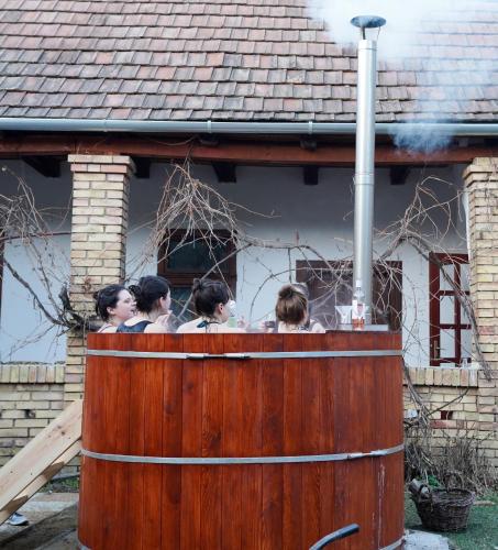  Almásliget Vendégház in Mátramindszent