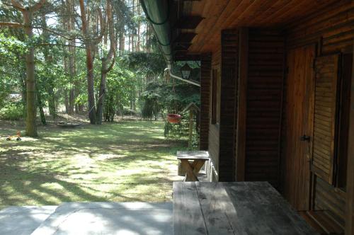 Detached romantic chalet in the woods - U Faflika in จินดริชูฟ ฮราเดค