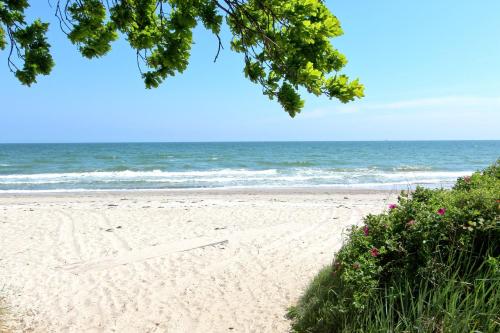 strandnahe FeWo mit Terrasse, gratis Nutzung vom AHOI Erlebnisbad und Sauna in Sellin - Rex Rugia FeWo 14-3