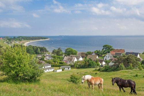 strandnahe FeWo mit Terrasse, gratis Nutzung vom AHOI Erlebnisbad und Sauna in Sellin - Rex Rugia FeWo 14-3