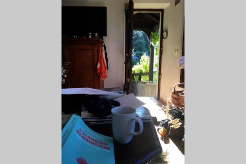 Petit gite indépendant 2* entre vignoble et Cher gîte à louer Bourré