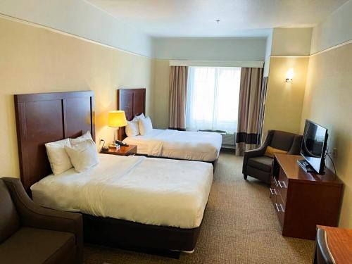 Comfort Inn and Suites Odessa - image 13