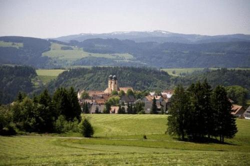 Gästehaus Wald und See - image 6