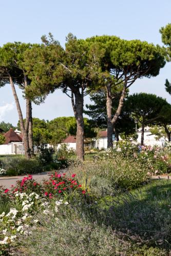 Bungalow with Garden View