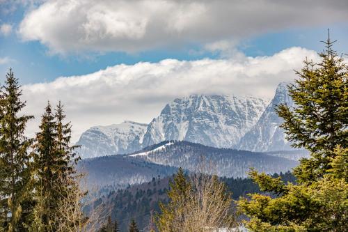 Pensiunea Constanta - image 10