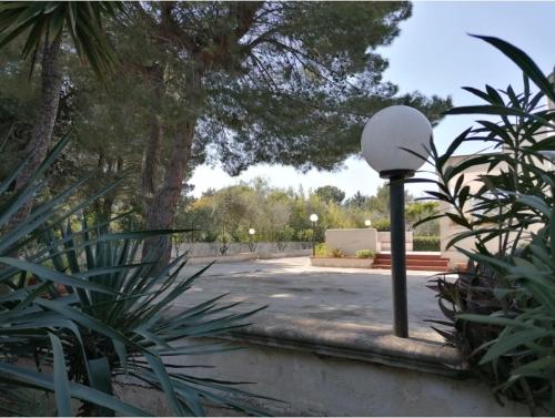 Villa Mary - Salento, Apulia (Italy)