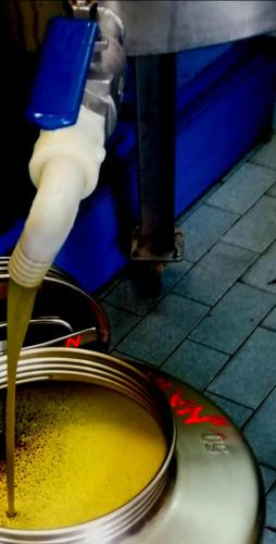 B&B La Casa tra gli Ulivi - image 8