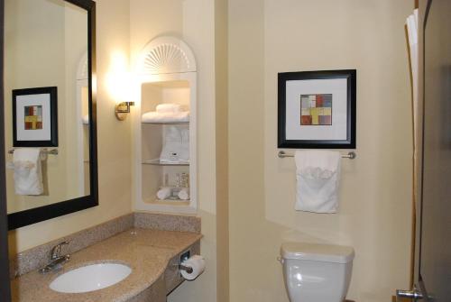 Holiday Inn Express Houston South By IHG - 화장실