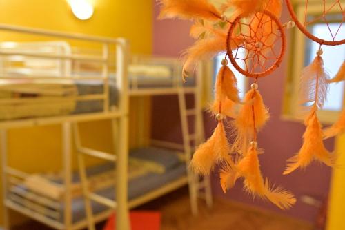 Outlanders Tribe Hostel, Spalato (Split) (foto 8)