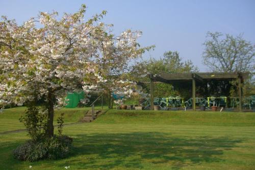Ash Farm Country House - image 4