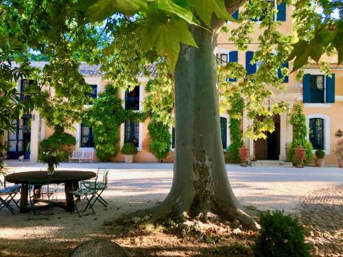 Bastide du régent - Chambre d'hôtes - Le Thor