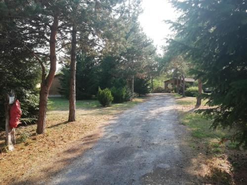 Au Soleil de Picardie 5