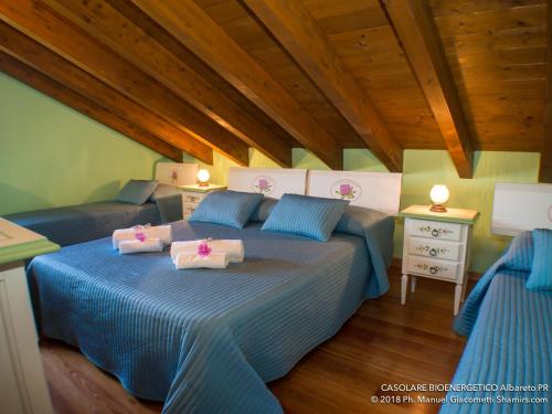 IL CASOLARE BIOENERGETICO - Accommodation - Albareto