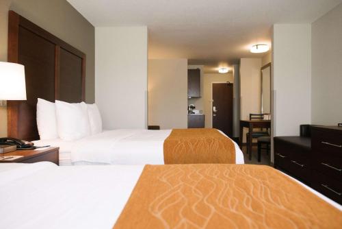 Comfort Inn And Suites - Custer