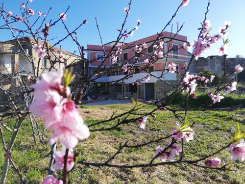 Il Borgo di Nonno Carlo - Hotel - Caprioli