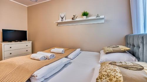 Apartament Emili przy Centrum - 5D Apartments, Szklarska Poręba (photo 7)
