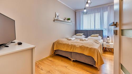 Apartament Emili przy Centrum - 5D Apartments, Szklarska Poręba (photo 6)