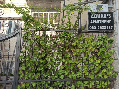Zohar's Apartment