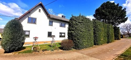 外部景觀, Ferienwohnung Landidylle Nassheck in 迪布利希
