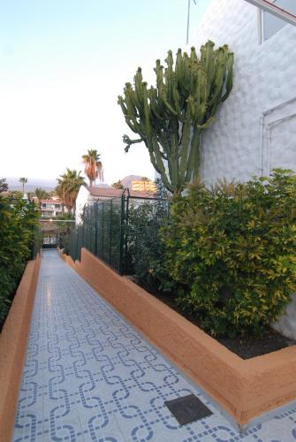 Paradero II - image 11