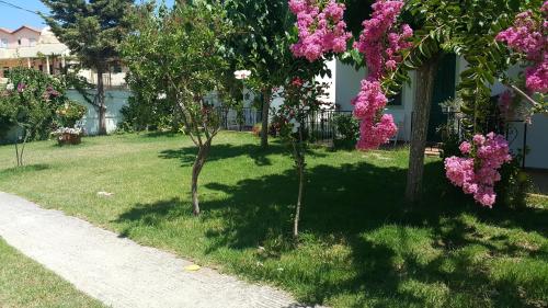  Ampeli Apartments in Georgioupoli