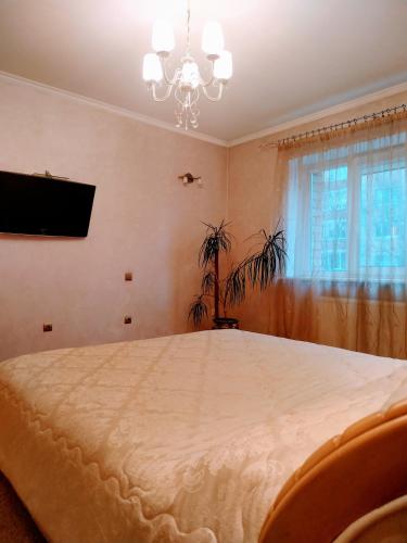 Guest house Svetlana - image 10