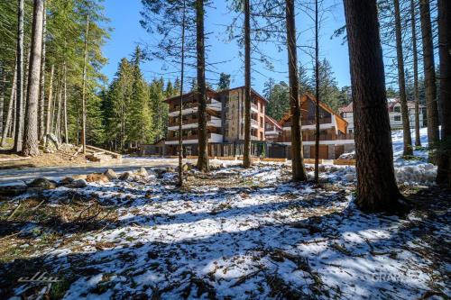 103 Alpine Hotel 1