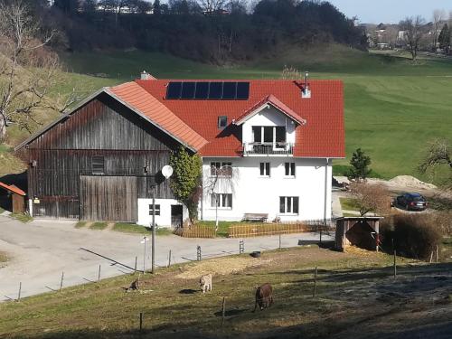 Märzenburghof - Apartment - Kaufbeuren