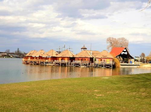 . Senec vilka na jazere