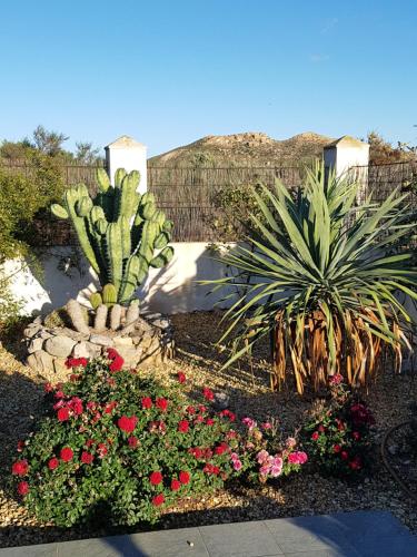  Cortijo Esperanza in Huércal-Overa