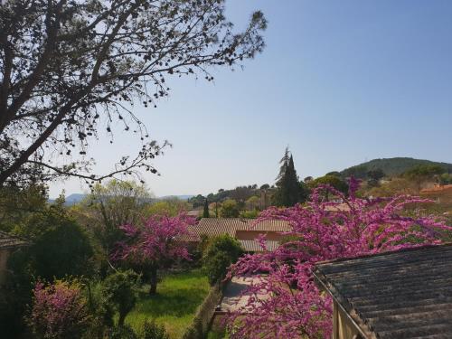 Appartement climatisé les Mimosas