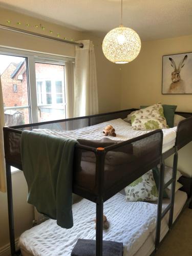 2 The Mews - image 5