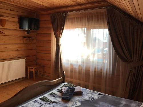 Карпатська мрія in Mykulychyn