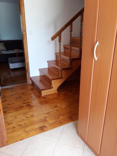 House in forest - image 14