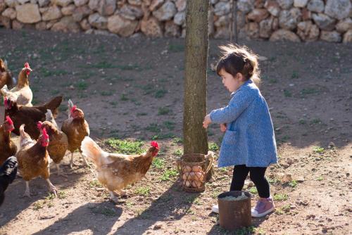 Llucmaçanes Gran Agroturismo