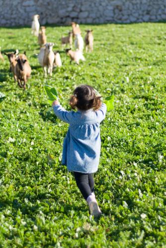 Llucmaçanes Gran Agroturismo