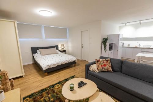 Sheba-Shik apartment, Tel hashomer שיבא-שיק, תל השומר,דירת סטודיו מקסימה! in Priemiestis/oro uostas