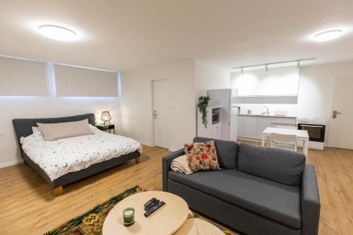 Sheba-Shik apartment, Tel hashomer שיבא-שיק, תל השומר,דירת סטודיו מקסימה! in Priemiestis/oro uostas