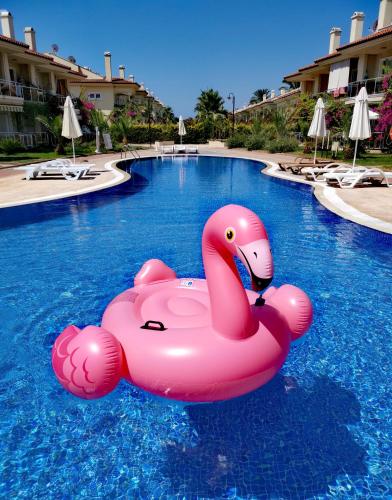  Sunset beach club in Fethiye
