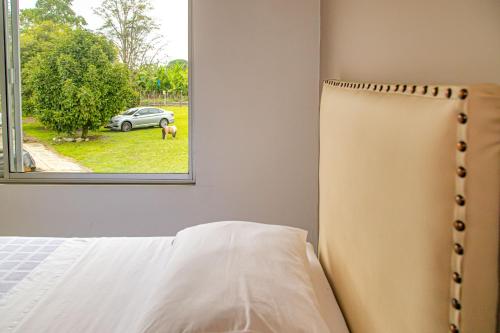 2 twin beds