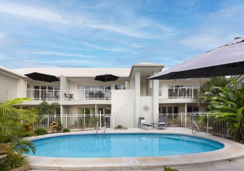 Noosa River Palms