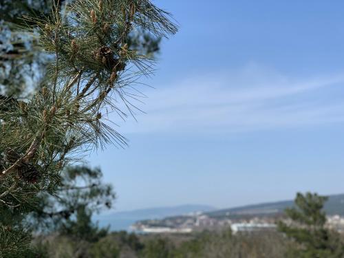 Le Sea HOTEL AND PARK - image 12