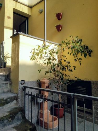 B&B Moneglia - Da Cesare - Bed and Breakfast Moneglia