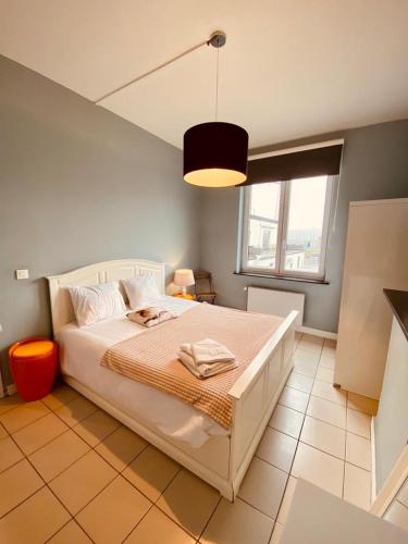 Fenêtre sur le Standard de Liège