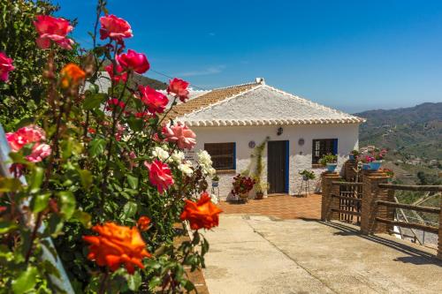 花園, Winehouse with fireplace&heating,BBQ, WiFi, pool, Close to Málaga (Winehouse with fireplace&heating,BBQ, WiFi, pool, Close to Malaga) in 埃爾博爾赫