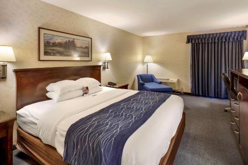 Comfort Inn Bellingham